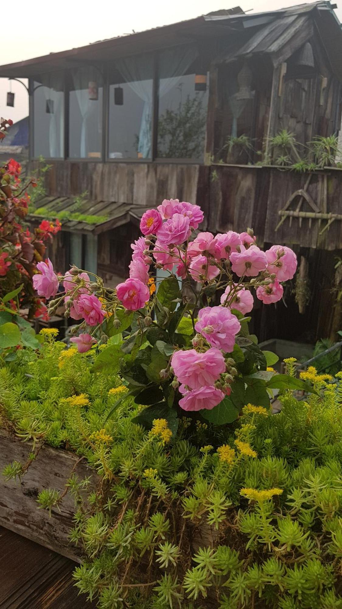 Tavan View Homestay Sa Pa Buitenkant foto