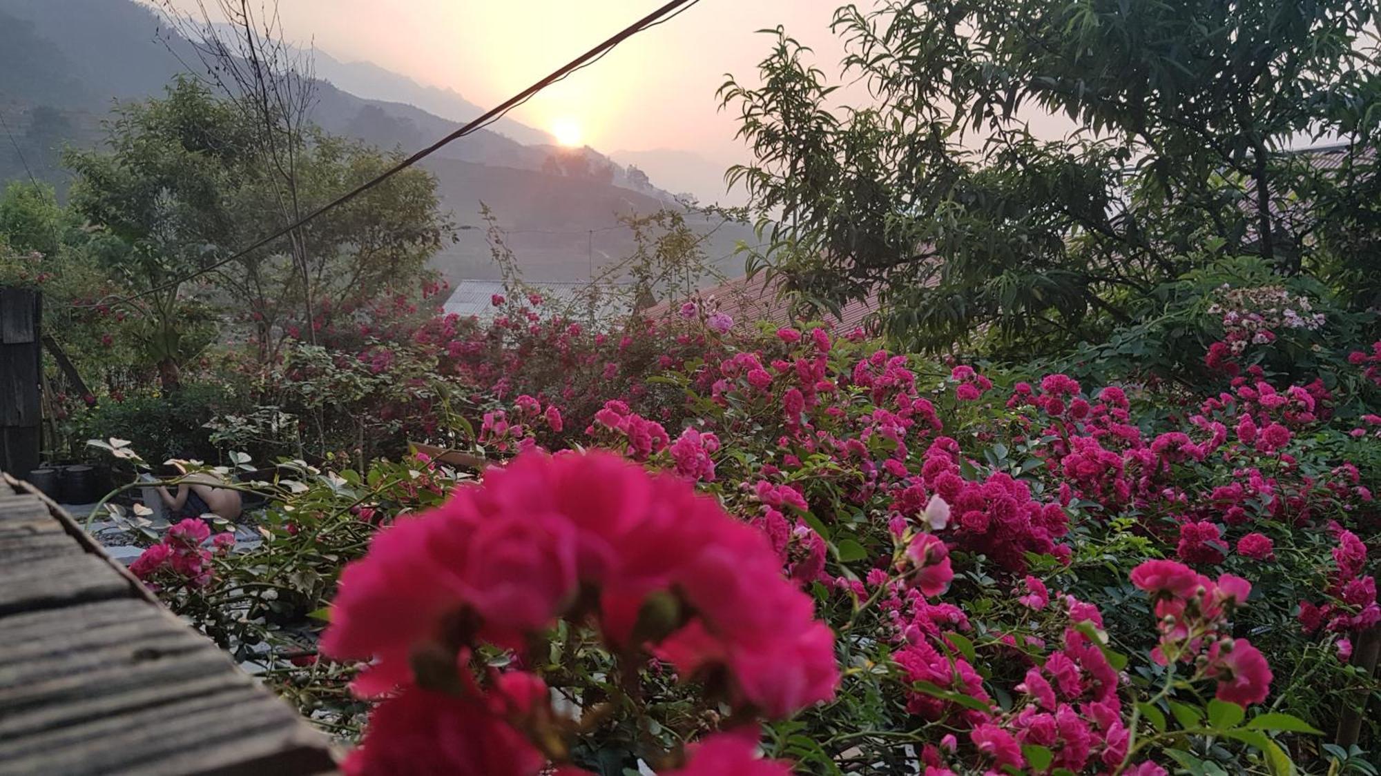 Tavan View Homestay Sa Pa Buitenkant foto